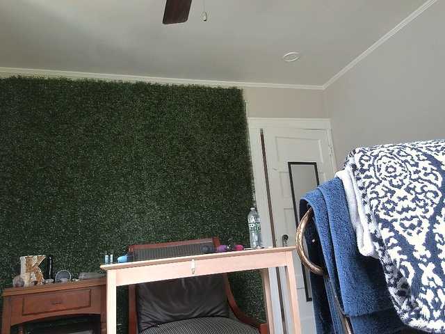 Capturas de pantalla de transmisión katiekat13xxx