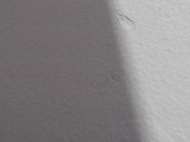 Capturas de pantalla de transmisión Katithompson