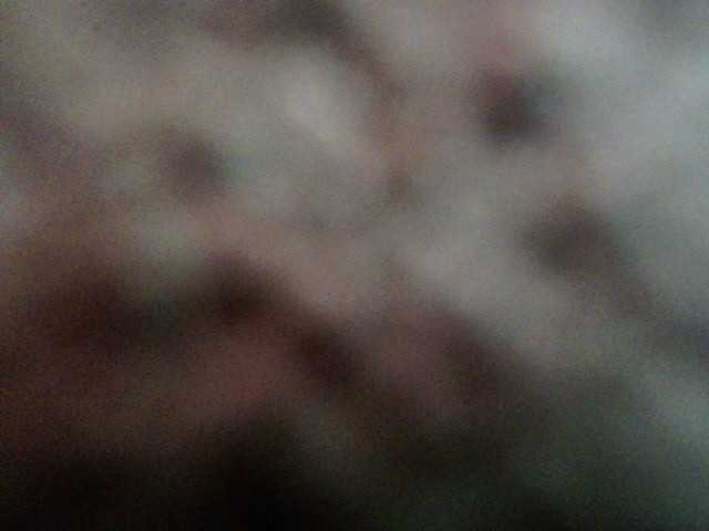 Capturas de pantalla de transmisión Kendal212