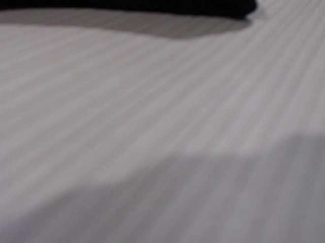 Capturas de pantalla de transmisión kimwilliams