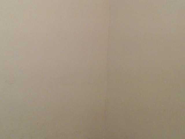 Capturas de pantalla de transmisión kitty-katia