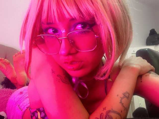 Foto del perfil kitty-scream