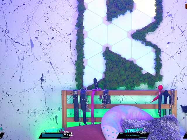 Capturas de pantalla de transmisión Kittygy