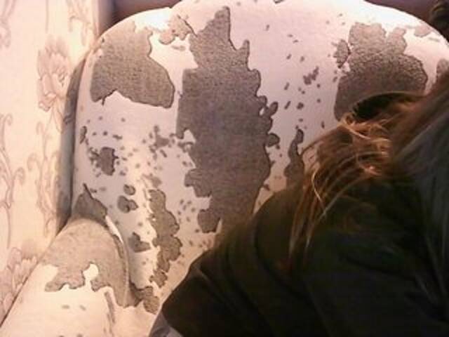 Capturas de pantalla de transmisión KOBRA-X