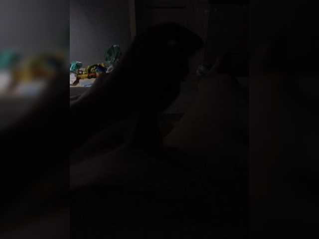 Capturas de pantalla de transmisión LisaVolk