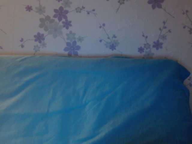 Capturas de pantalla de transmisión littledevi