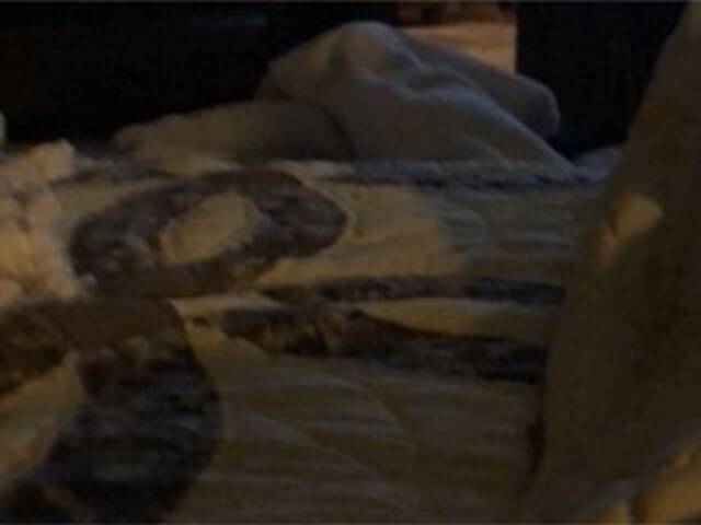 Capturas de pantalla de transmisión Littleshorty