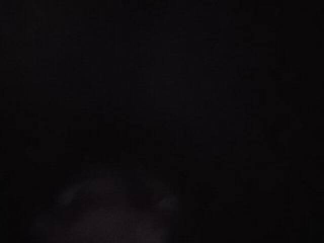 Capturas de pantalla de transmisión Littleshorty