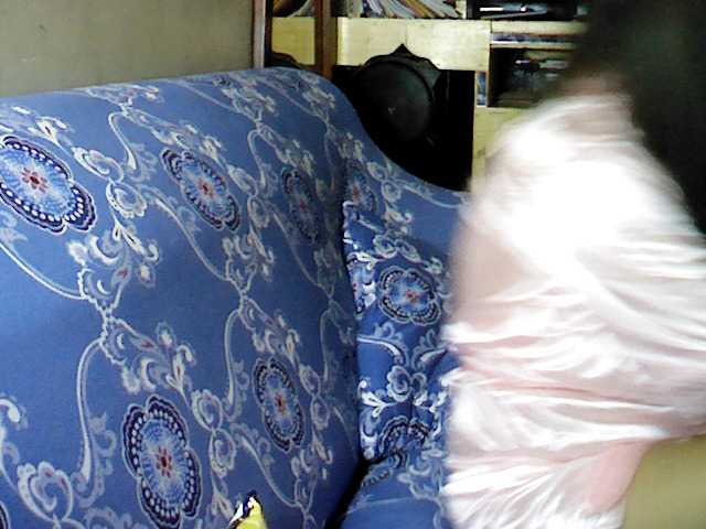 Capturas de pantalla de transmisión mangogirl28