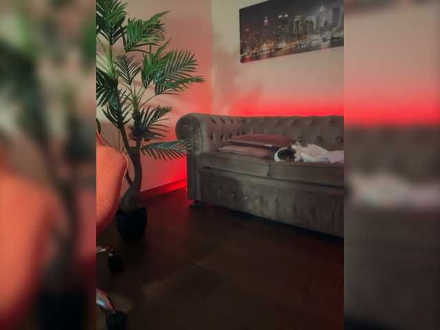 Capturas de pantalla de transmisión -Mexico-