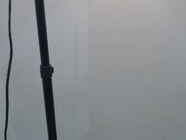 Capturas de pantalla de transmisión MiaaLee