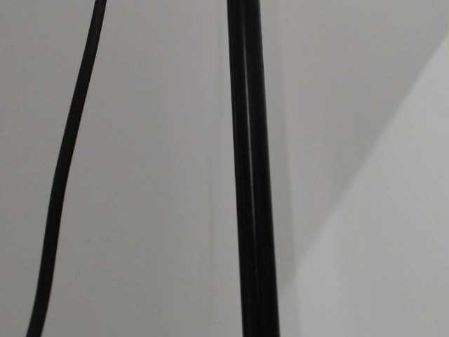 Capturas de pantalla de transmisión MiaaLee