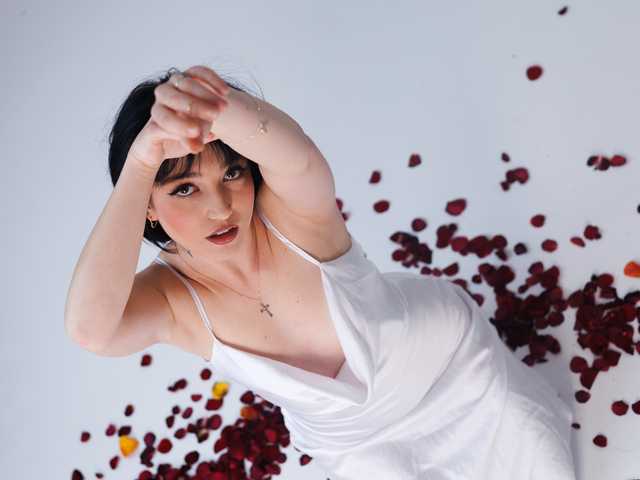 Foto del perfil Midnight_Eva_Mi