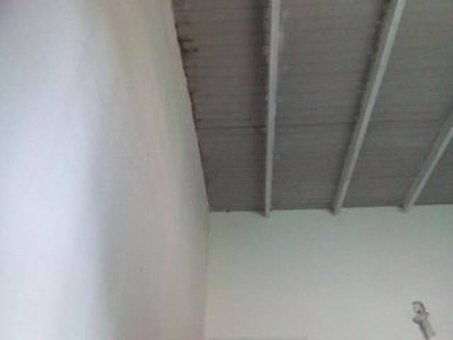 Capturas de pantalla de transmisión misscute