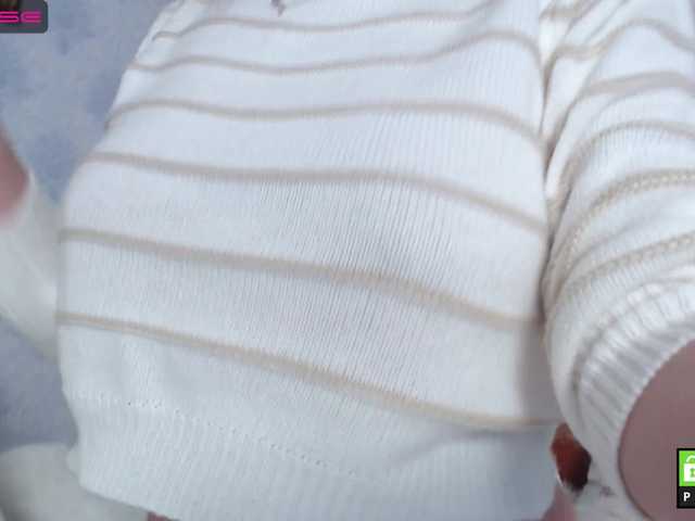 Capturas de pantalla de transmisión TIGRRA_