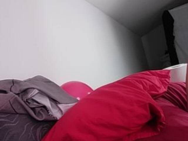 Capturas de pantalla de transmisión MisViolaViola