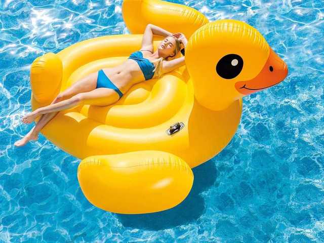 Foto del perfil Mona-Lisa