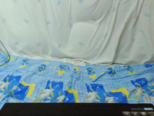 Capturas de pantalla de transmisión Morphinee