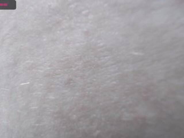 Capturas de pantalla de transmisión Nicoleex