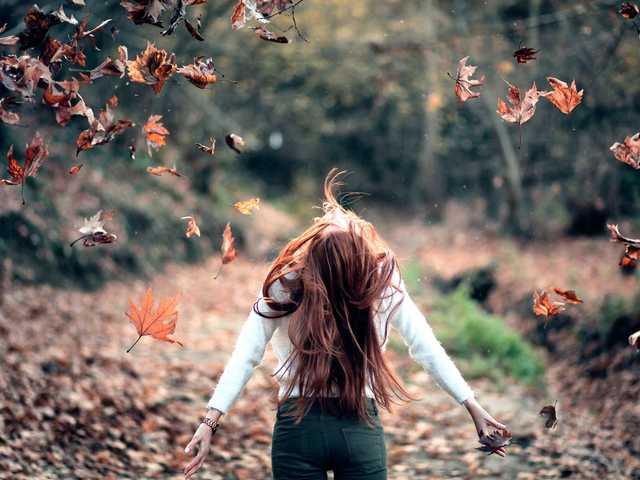 Foto del perfil nicolekamer