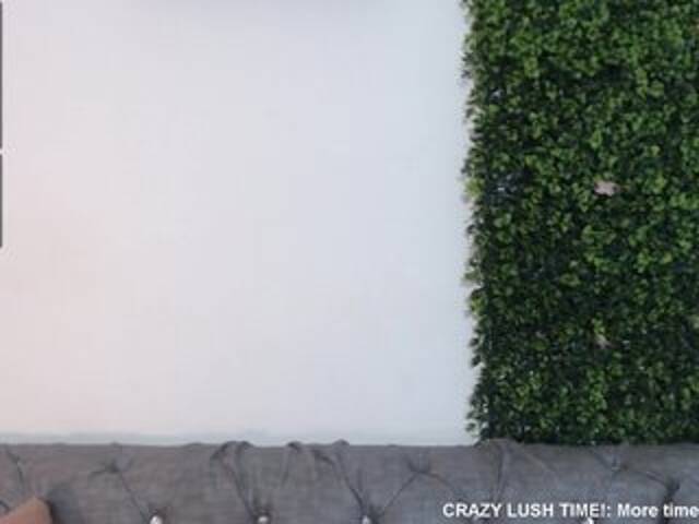 Capturas de pantalla de transmisión NicoleThomas