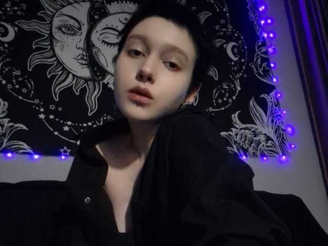 Foto del perfil night-lily