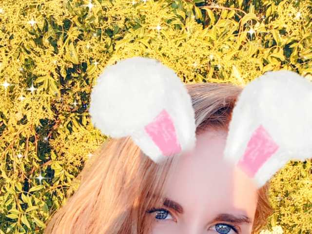 Foto del perfil Nilkibunnyxo