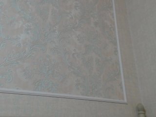 Capturas de pantalla de transmisión _Noele_