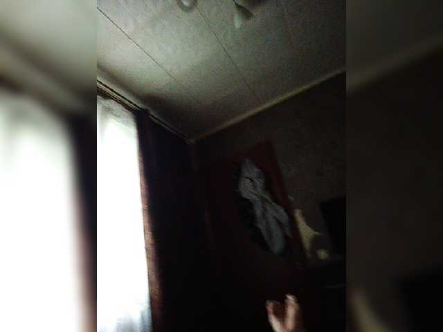 Capturas de pantalla de transmisión Nosorogka1980