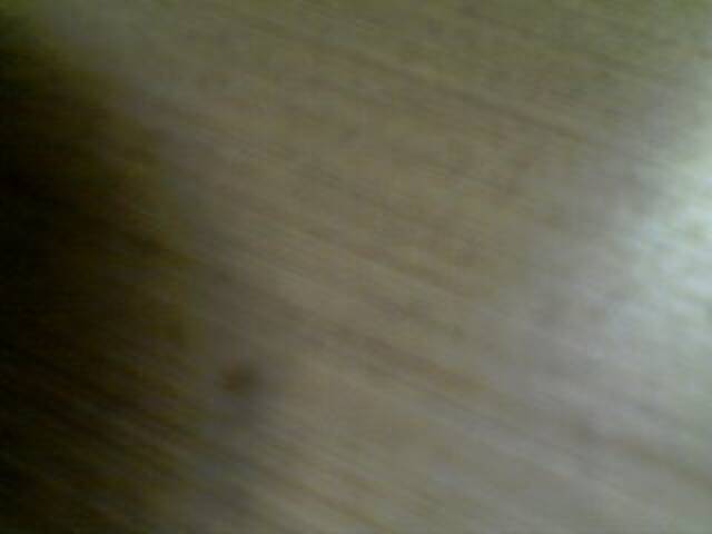 Capturas de pantalla de transmisión OceanyCat