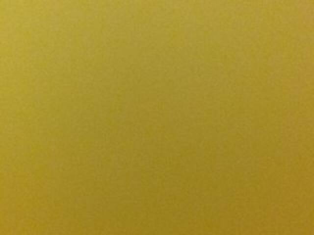 Capturas de pantalla de transmisión OceanyCat