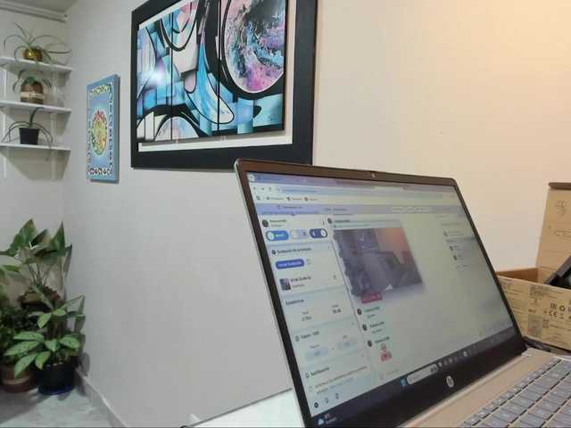 Capturas de pantalla de transmisión Palmera1369