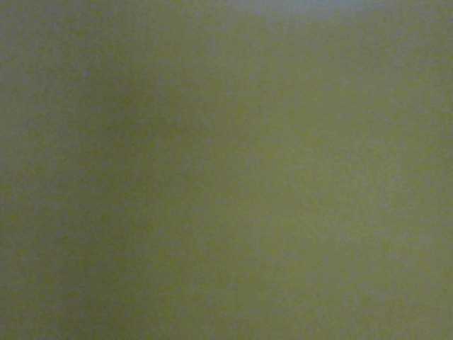 Capturas de pantalla de transmisión payel20