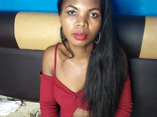 Chat de video erótico Perleyou