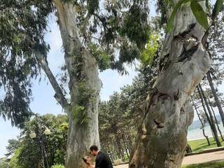 Chat de video erótico PUPI-DEL-REY