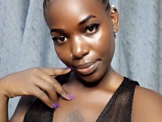 Chat de video erótico Quintessensual