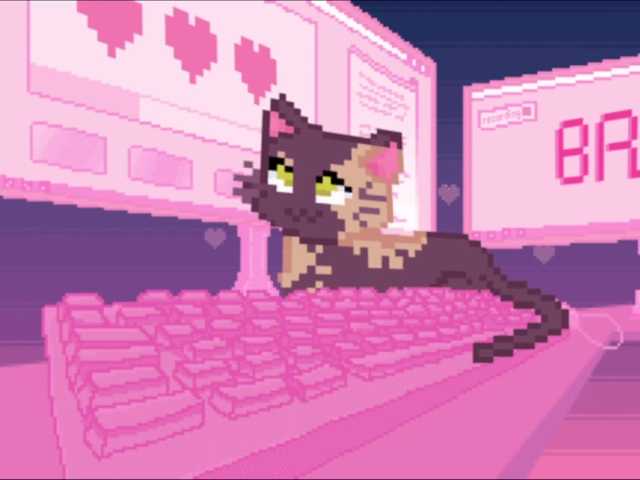 Capturas de pantalla de transmisión RIGELADARA