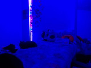 Chat de video erótico Sammyviolet