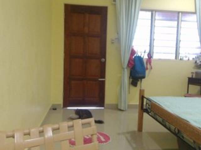 Capturas de pantalla de transmisión SexiBelle