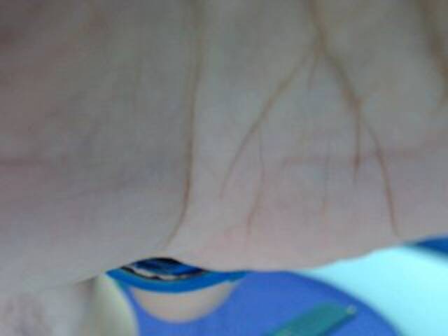 Capturas de pantalla de transmisión sexycarol