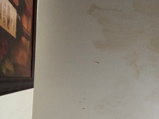 Chat de video erótico Sexylexie18