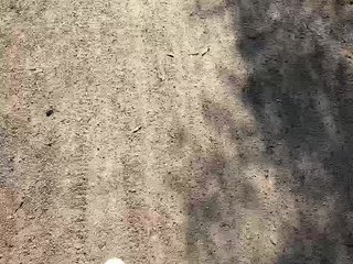 Chat de video erótico SHAWTY420