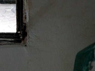 Chat de video erótico shelbyn