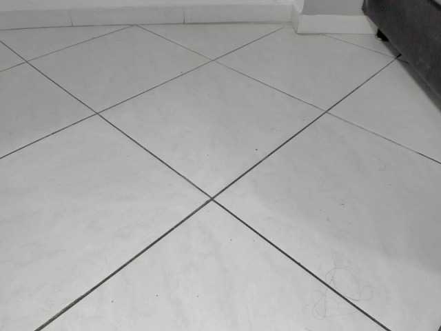 Capturas de pantalla de transmisión silvermoonn