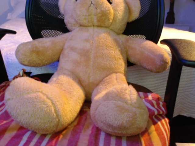 Capturas de pantalla de transmisión SofiaZapata