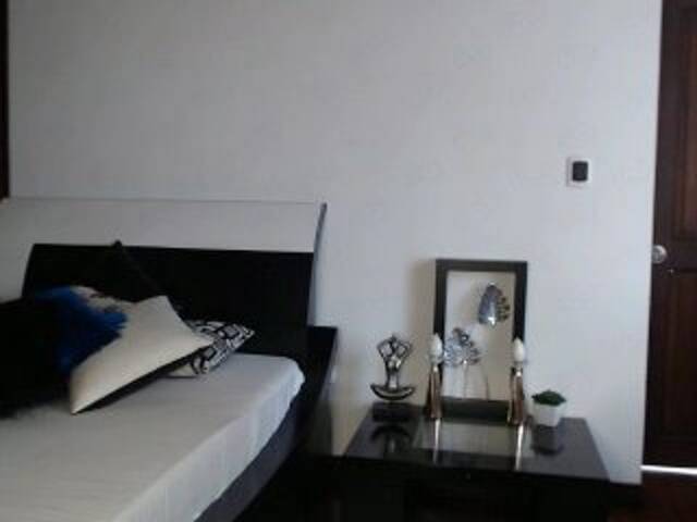 Capturas de pantalla de transmisión StaceyWood