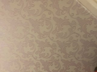 Chat de video erótico Sverchokk