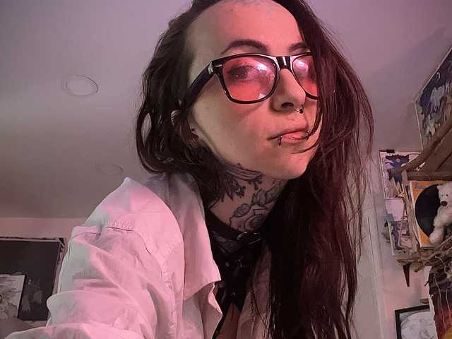 Foto del perfil SweetCat1377