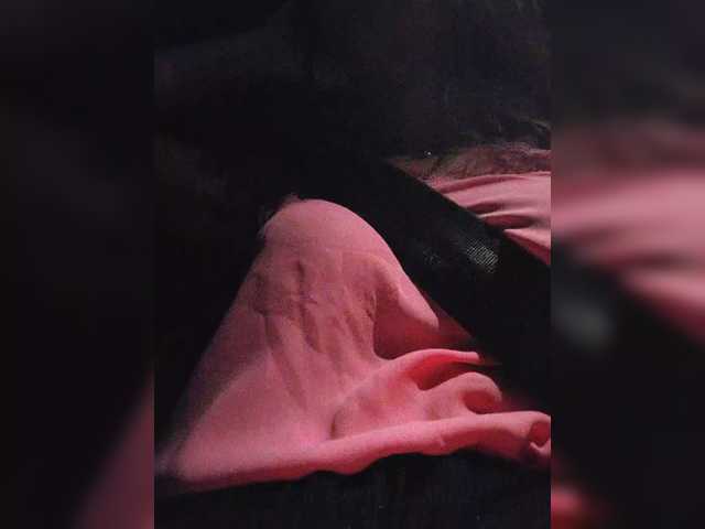 Capturas de pantalla de transmisión SweetGattina