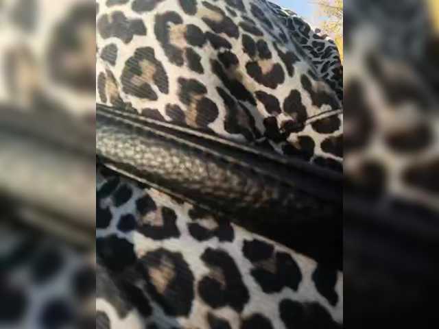 Capturas de pantalla de transmisión Sweetie29a